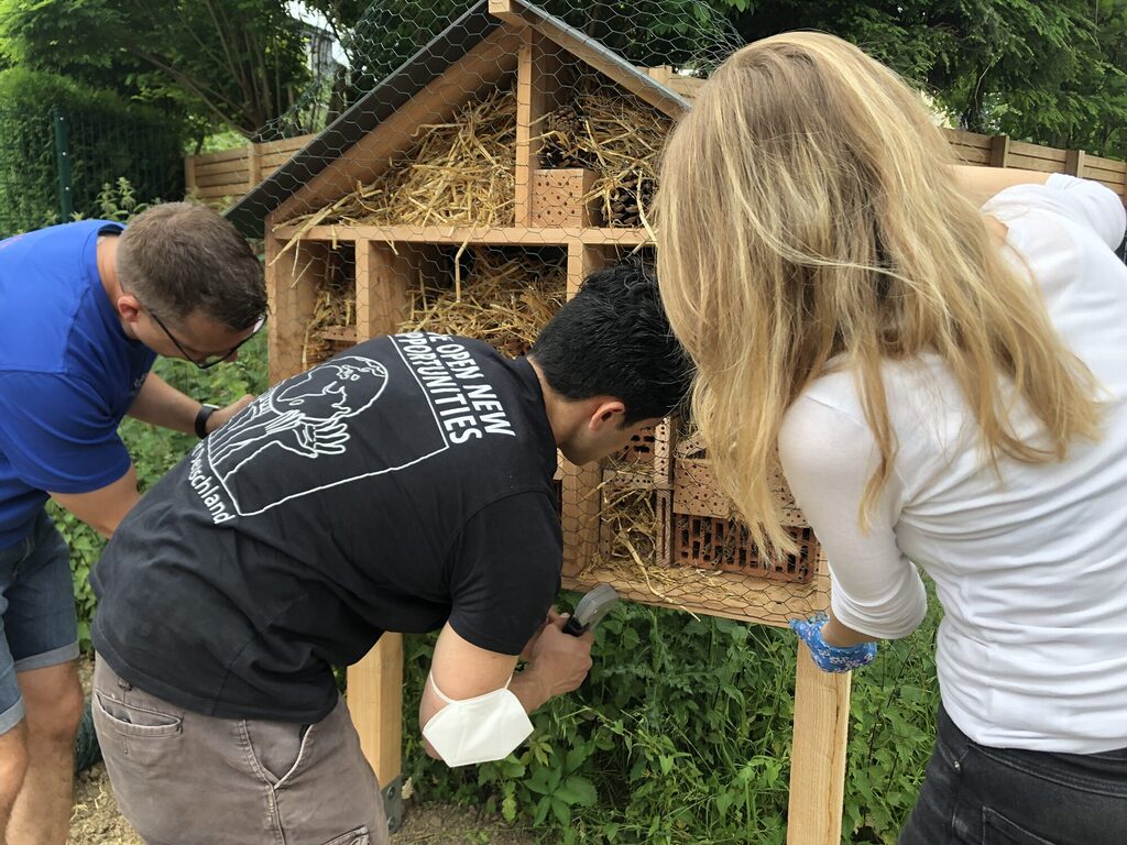 Rotaracter und Rotarier bauen ein großes Bienenhotel zusammen